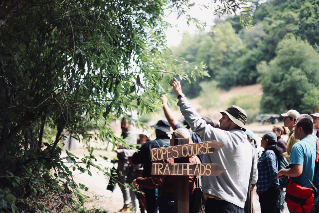 Foraging with ForageSF