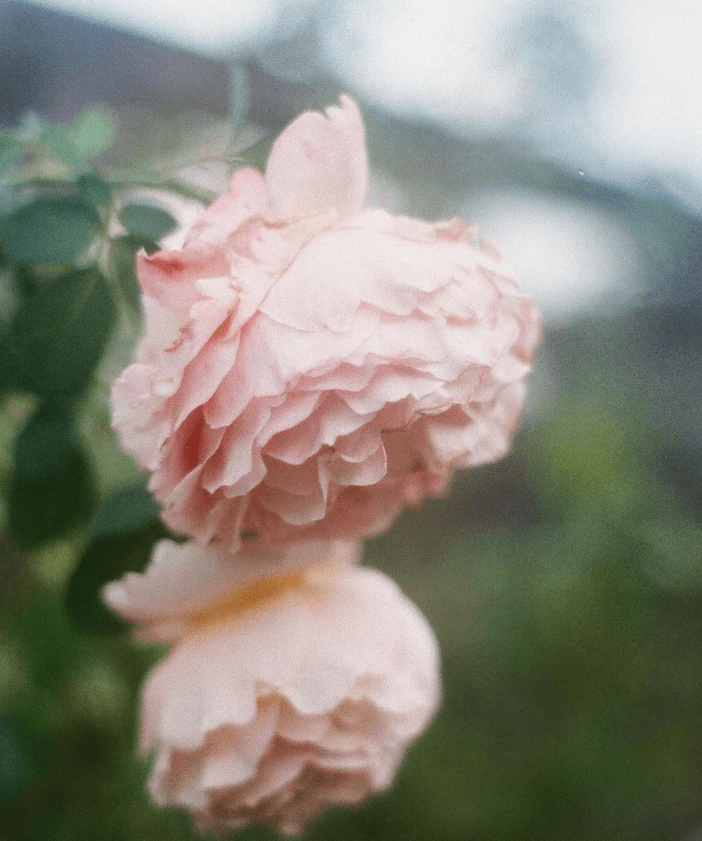 Reflections – August 25,&nbsp;2023