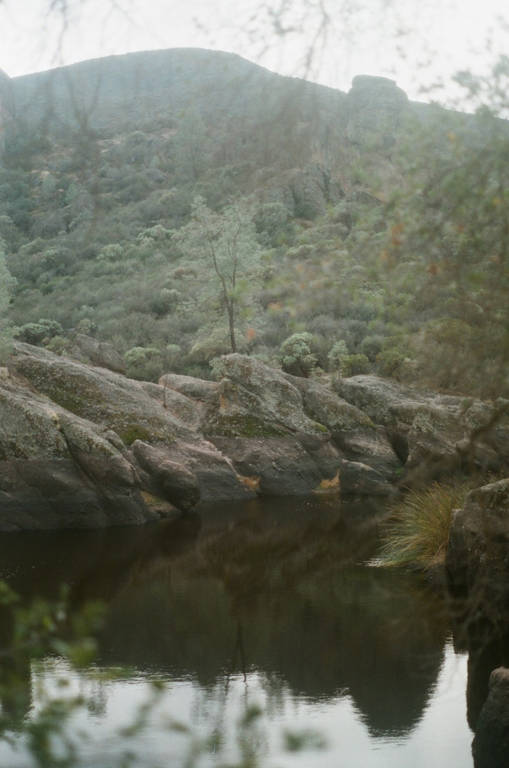 Reflections on Scripture –&nbsp;10/5/2023