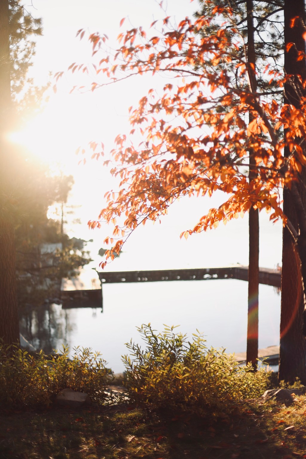 Reflections – July 11,&nbsp;2024