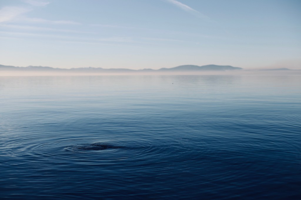 Getting to know myself – prompt&nbsp;15