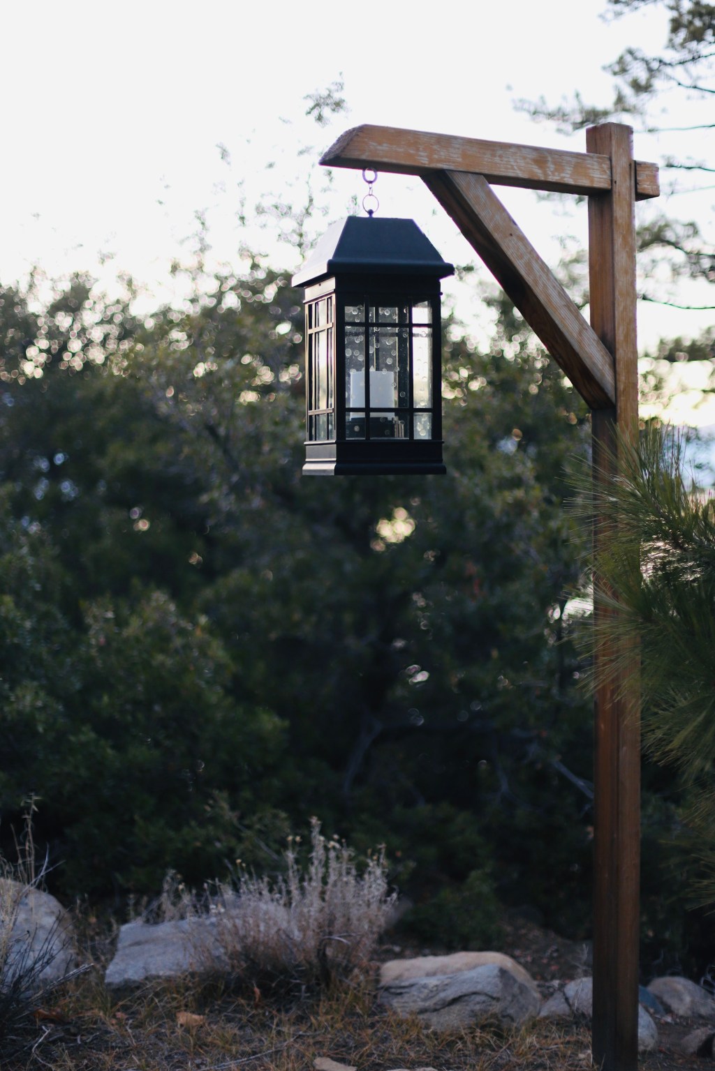 Reflections – Nov 21,&nbsp;2023