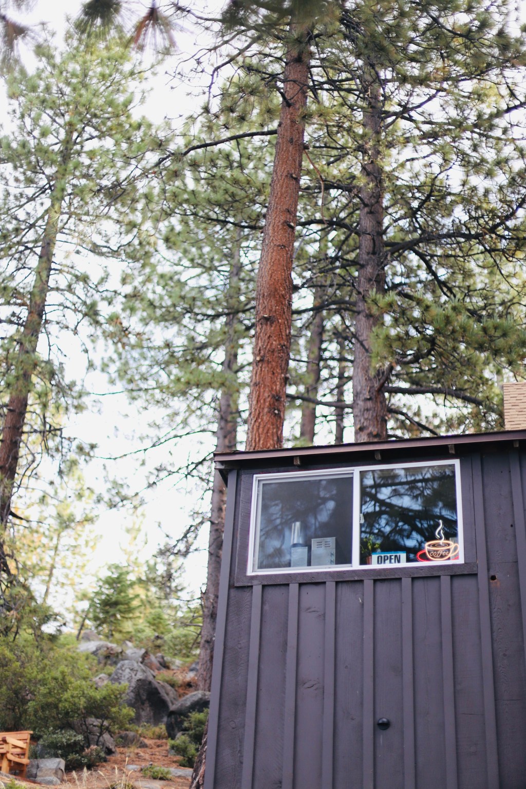 Getting to know myself – prompt&nbsp;14