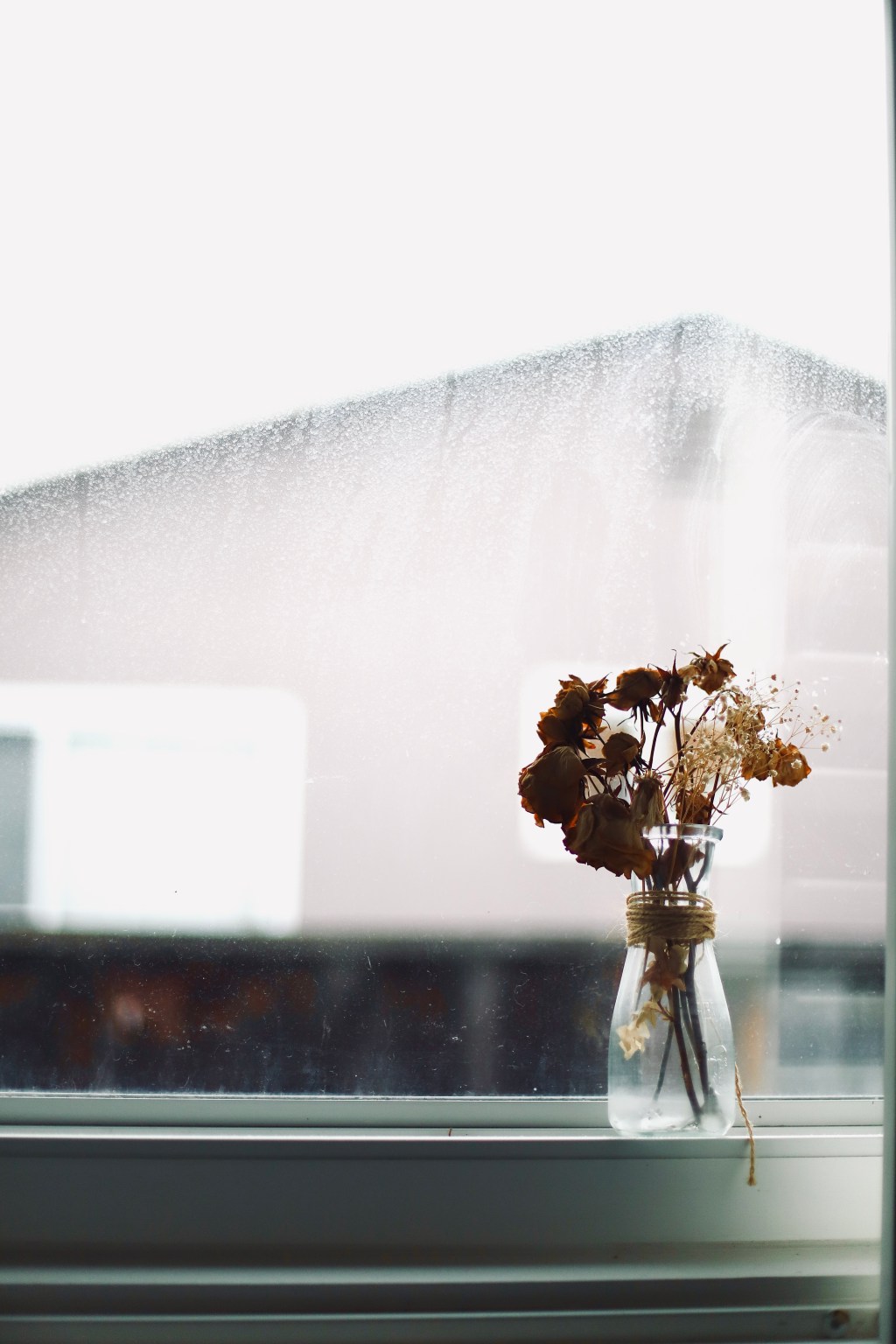 Reflections – Sept 3,&nbsp;2024