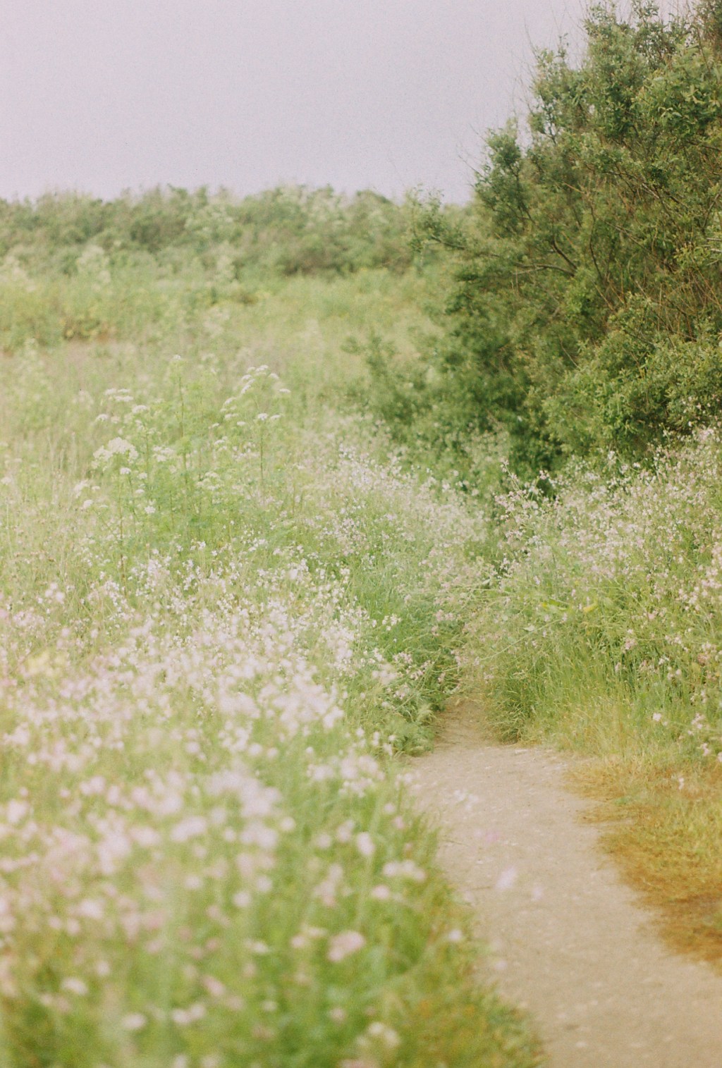 July 29, 2024 These are the days of&nbsp;…