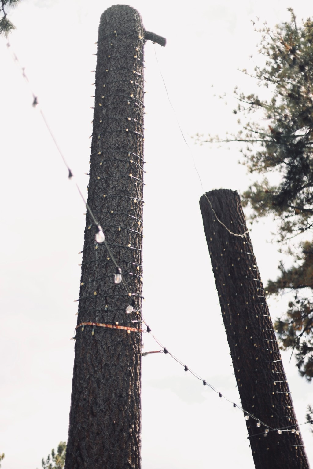 Getting to know myself – prompt&nbsp;19