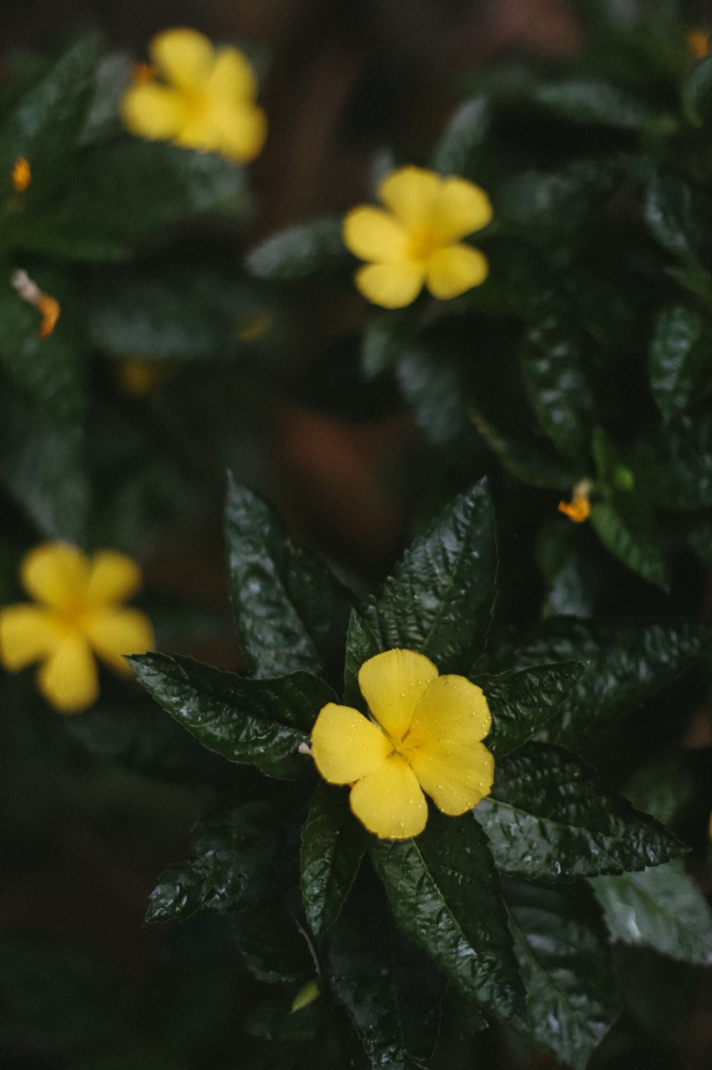 Getting to know myself – prompt&nbsp;20