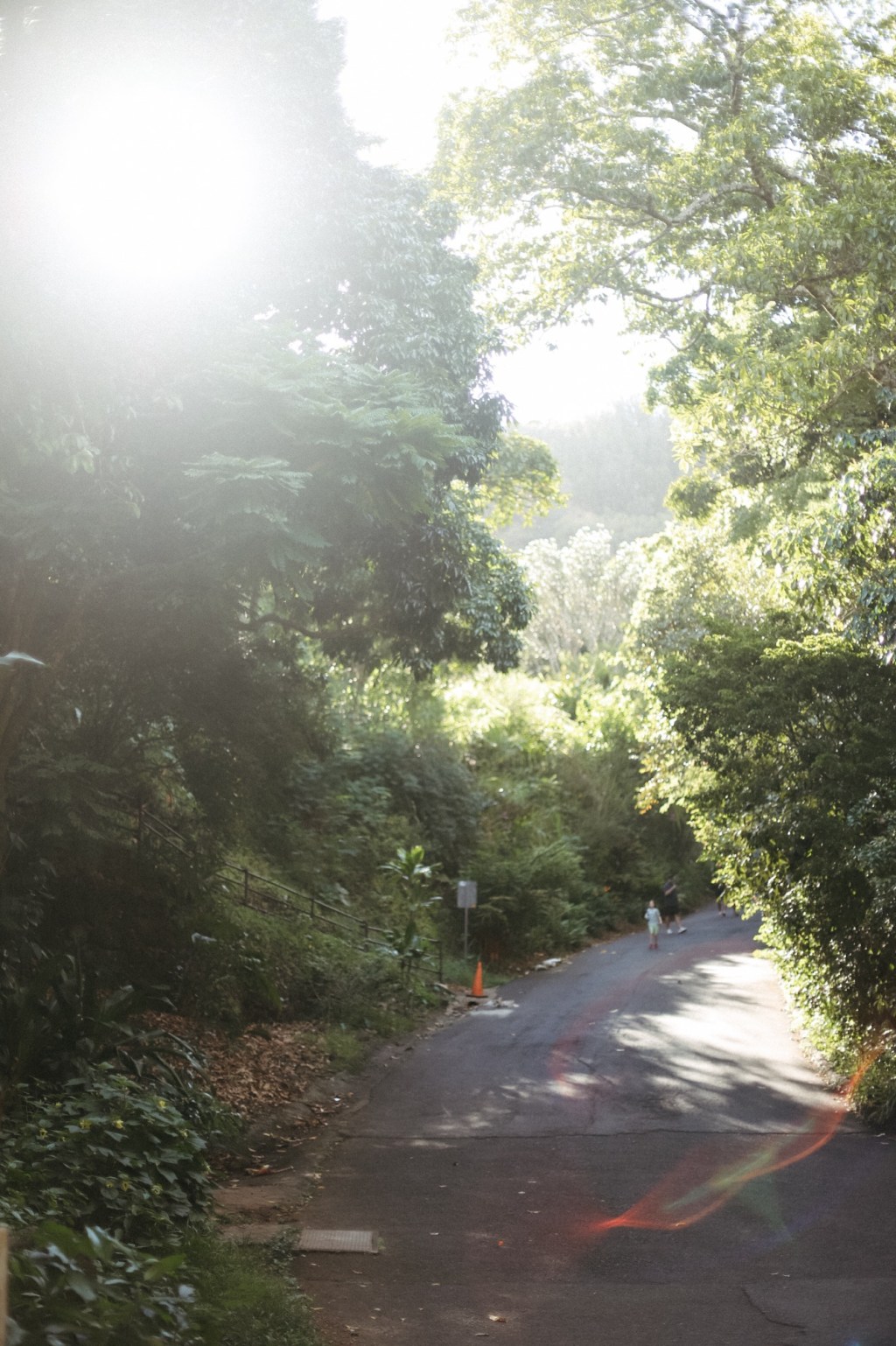 Getting to know myself – prompt&nbsp;31