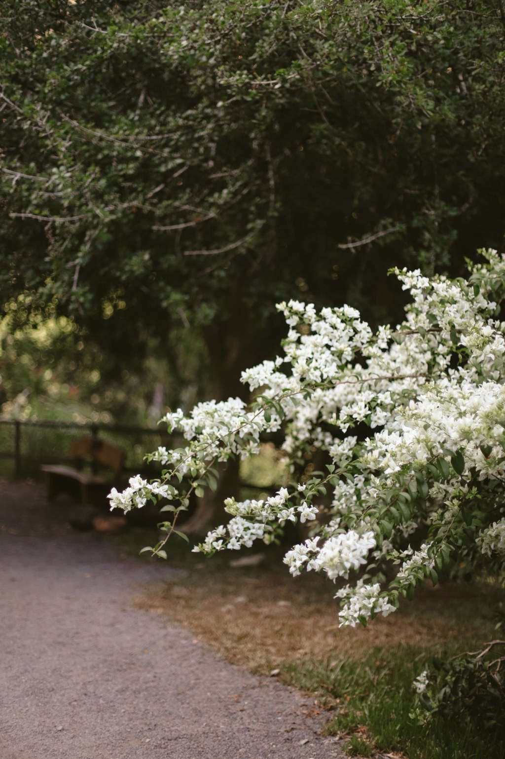 Reflections – 12/12/2024