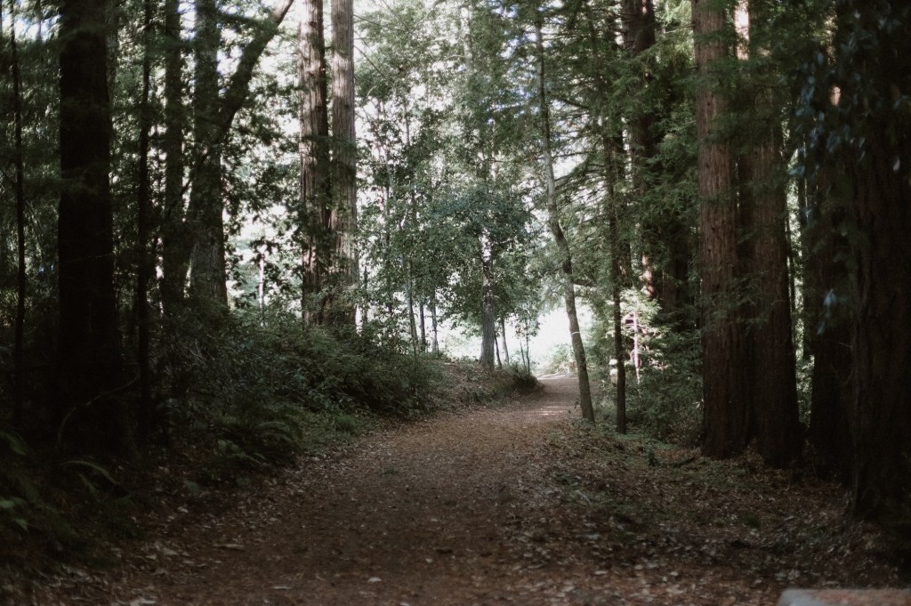 Getting to know myself – prompt&nbsp;27