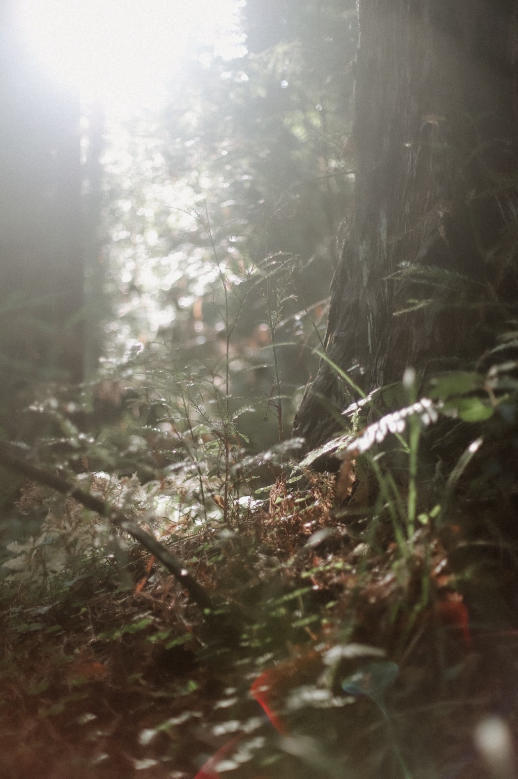 Getting to know myself – prompt&nbsp;26