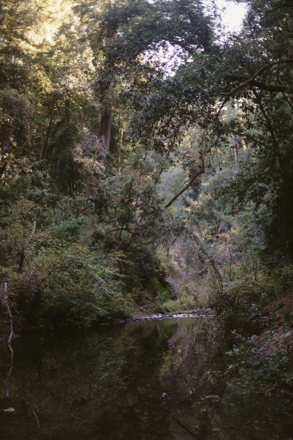 Getting to know myself – prompt&nbsp;28