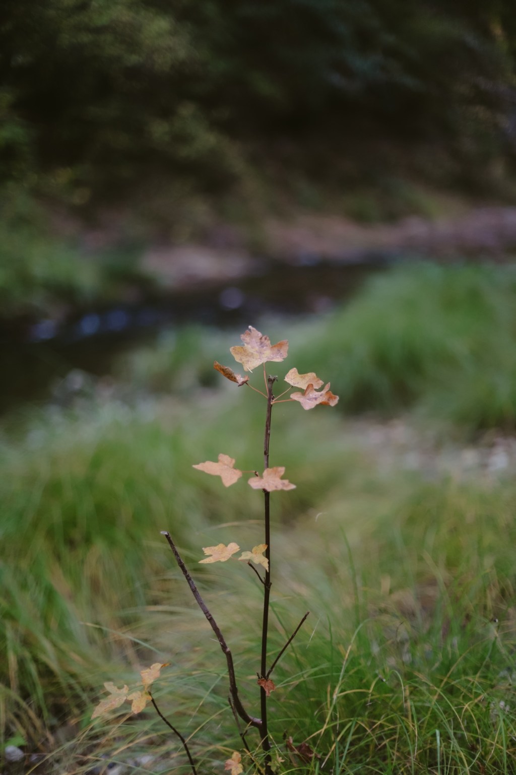 Getting to know myself – prompt&nbsp;29