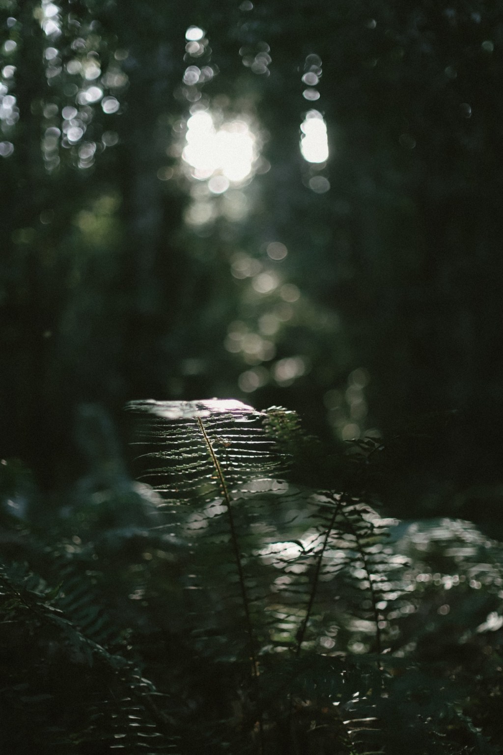 Getting to know myself – prompt&nbsp;25