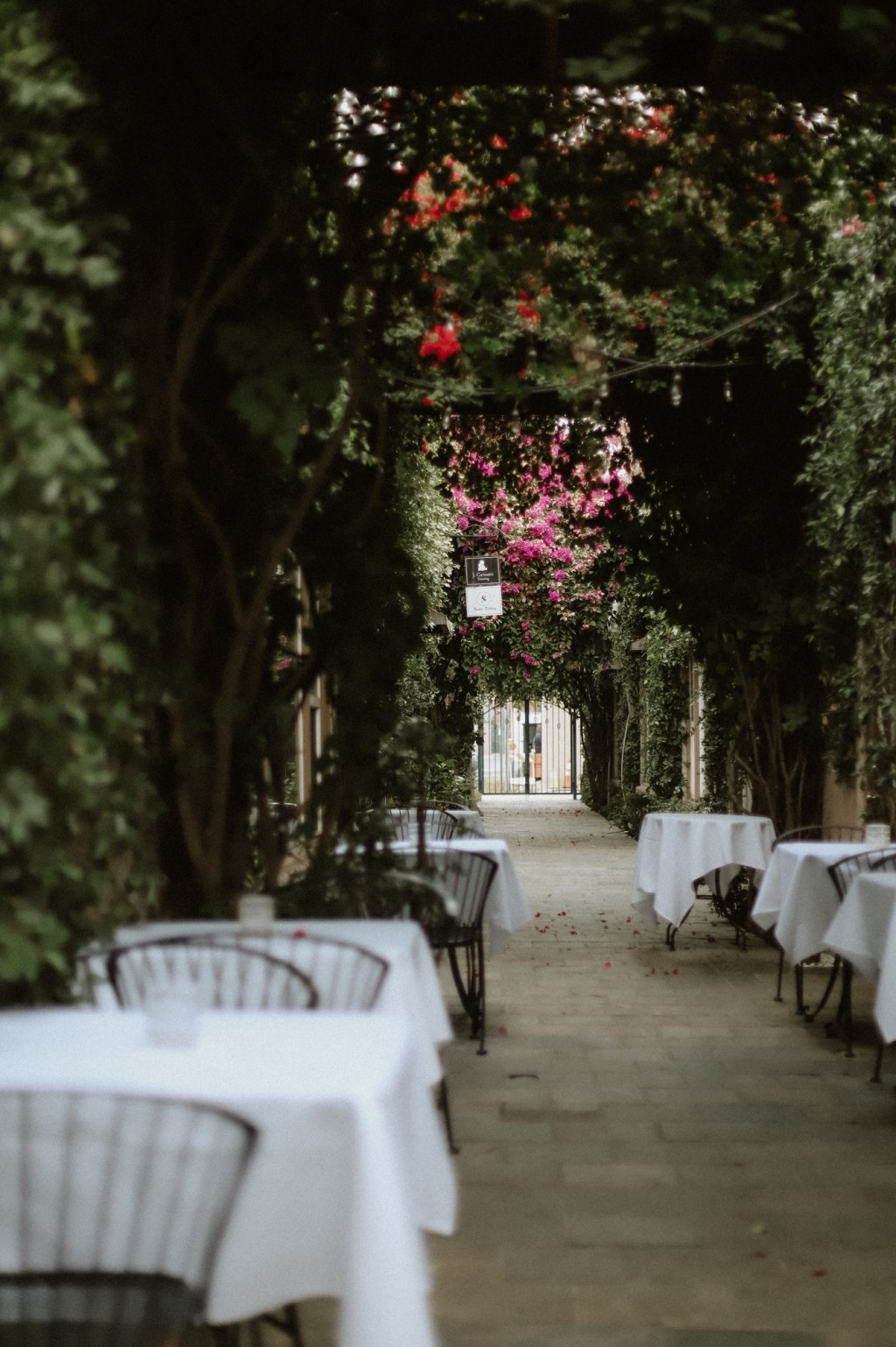 12/10/2024 These are the days of&nbsp;…