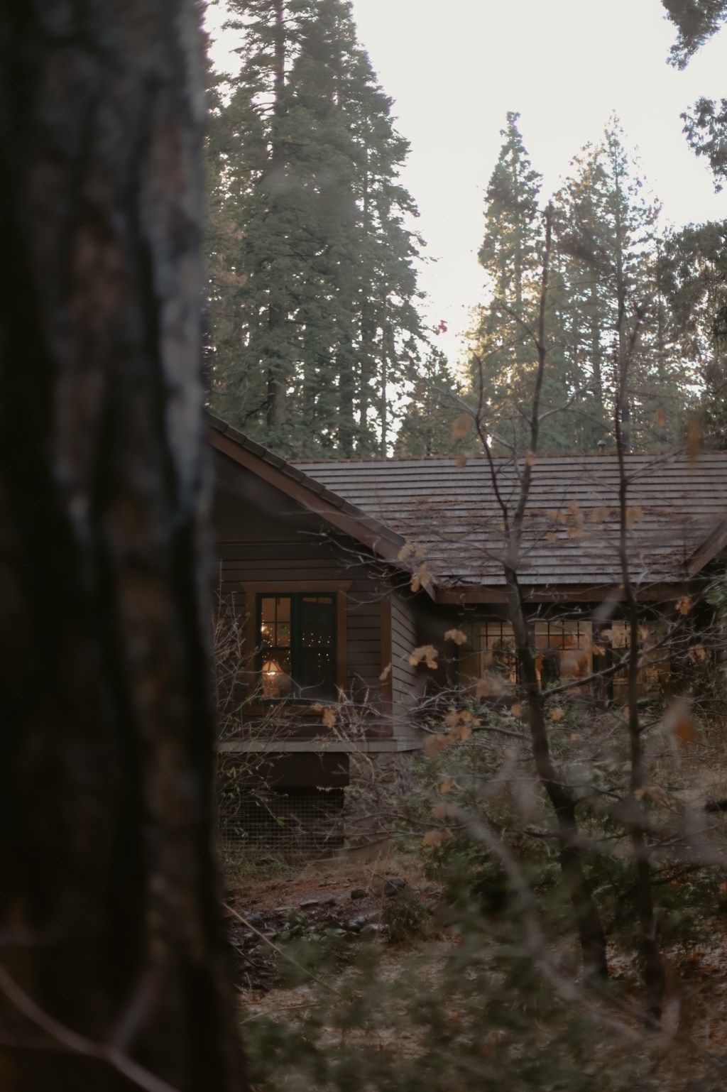 Getting to know myself – prompt&nbsp;34