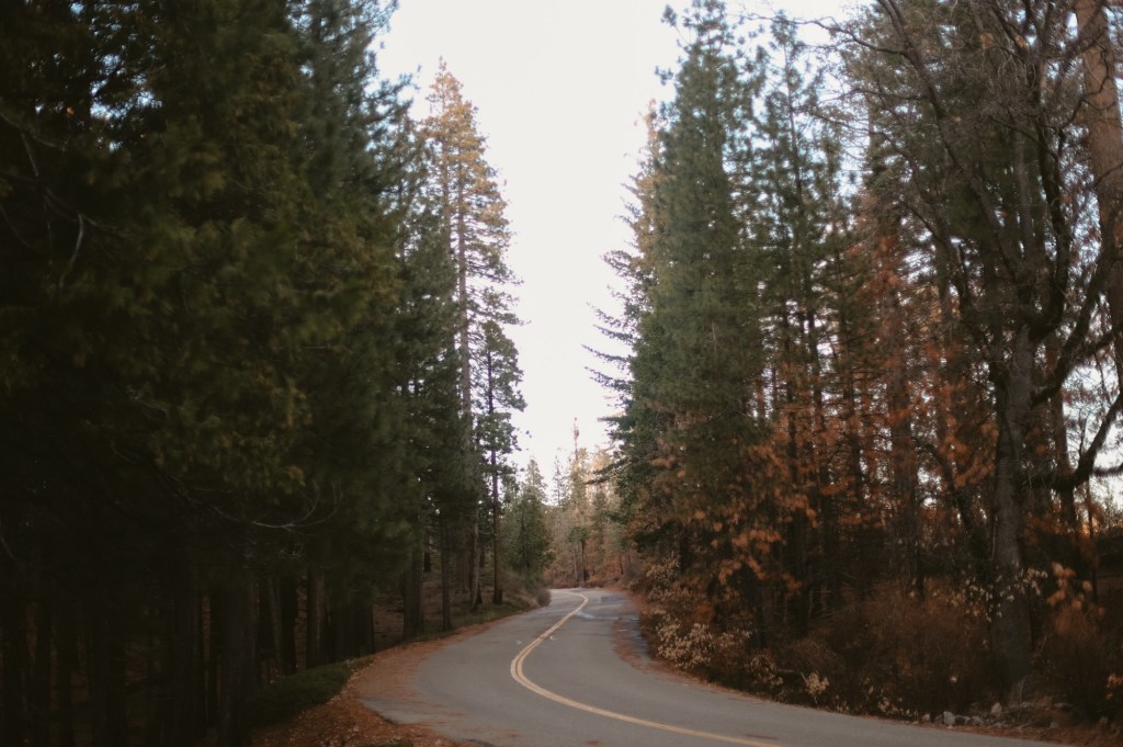 Getting to know myself – prompt&nbsp;38