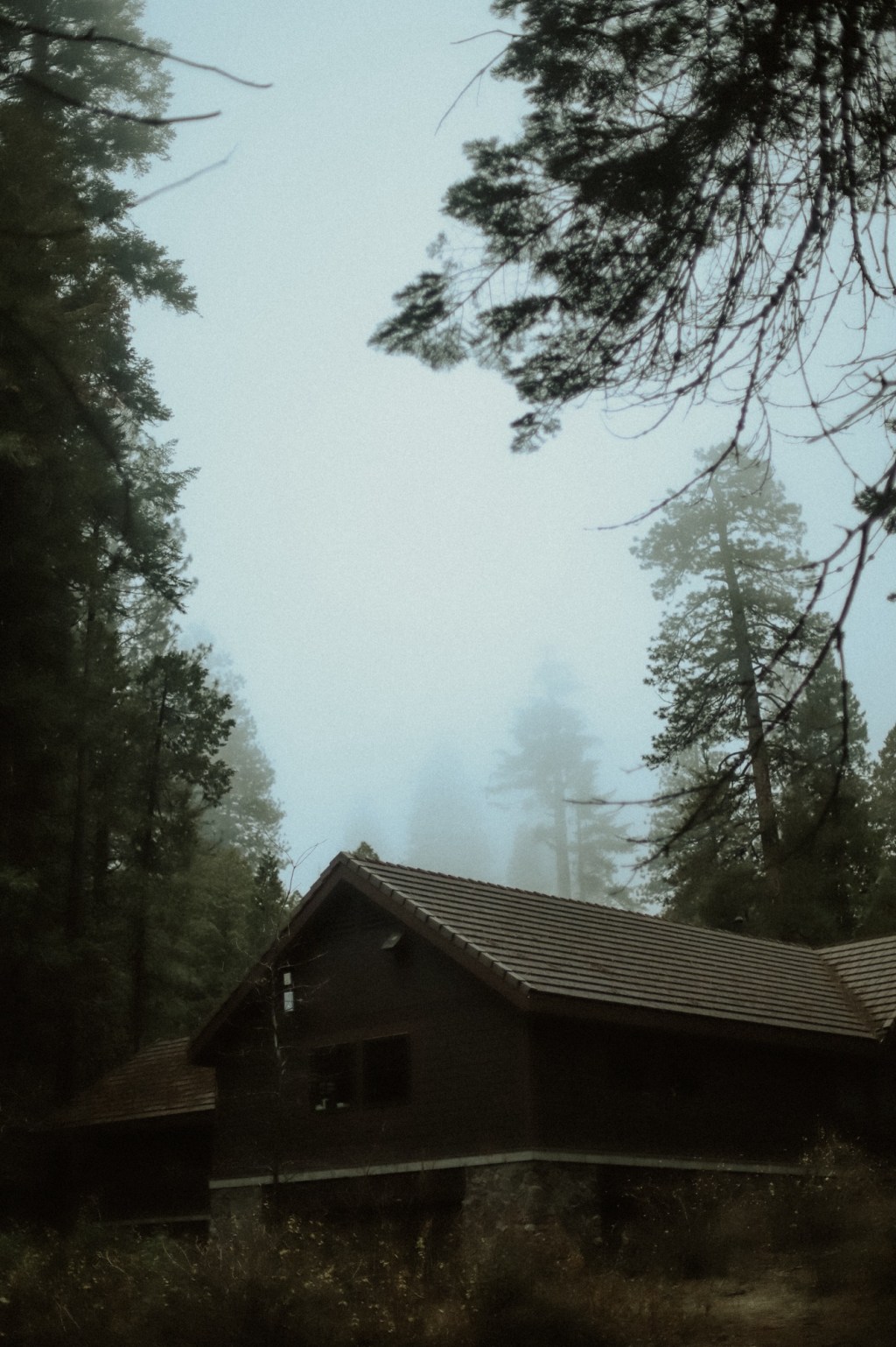 Getting to know myself- prompt 33