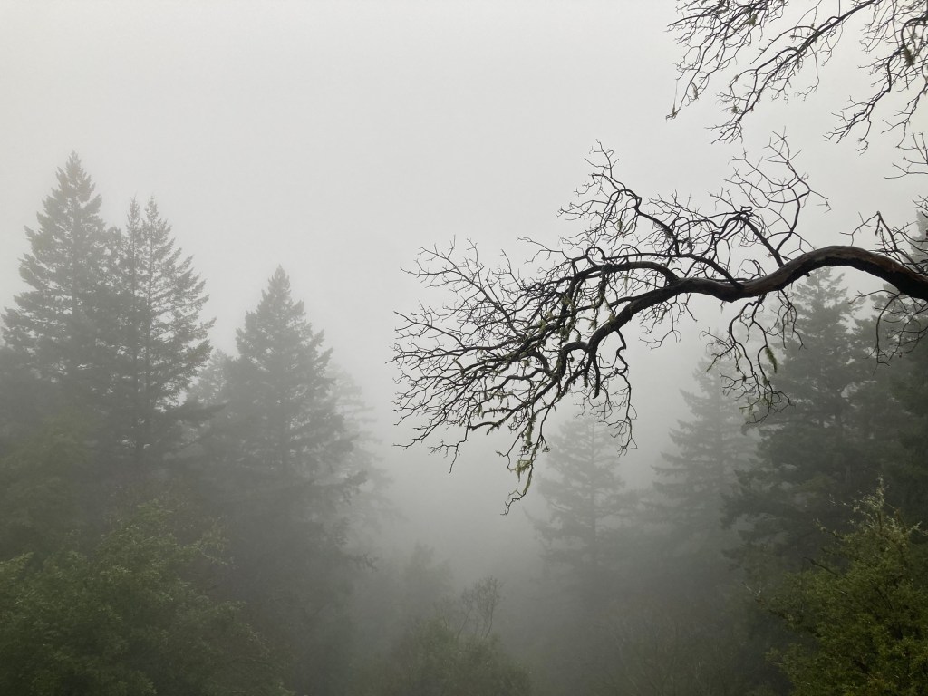 12/29/24 These are the days of&nbsp;…