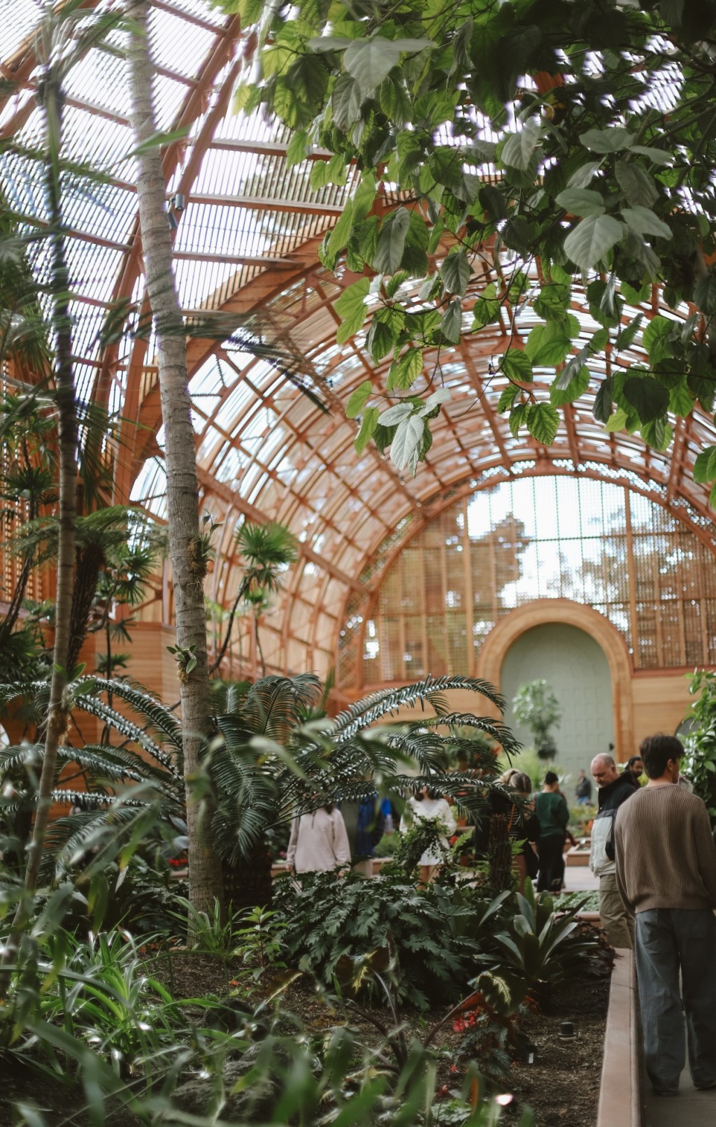 San Diego January 2025&nbsp;!