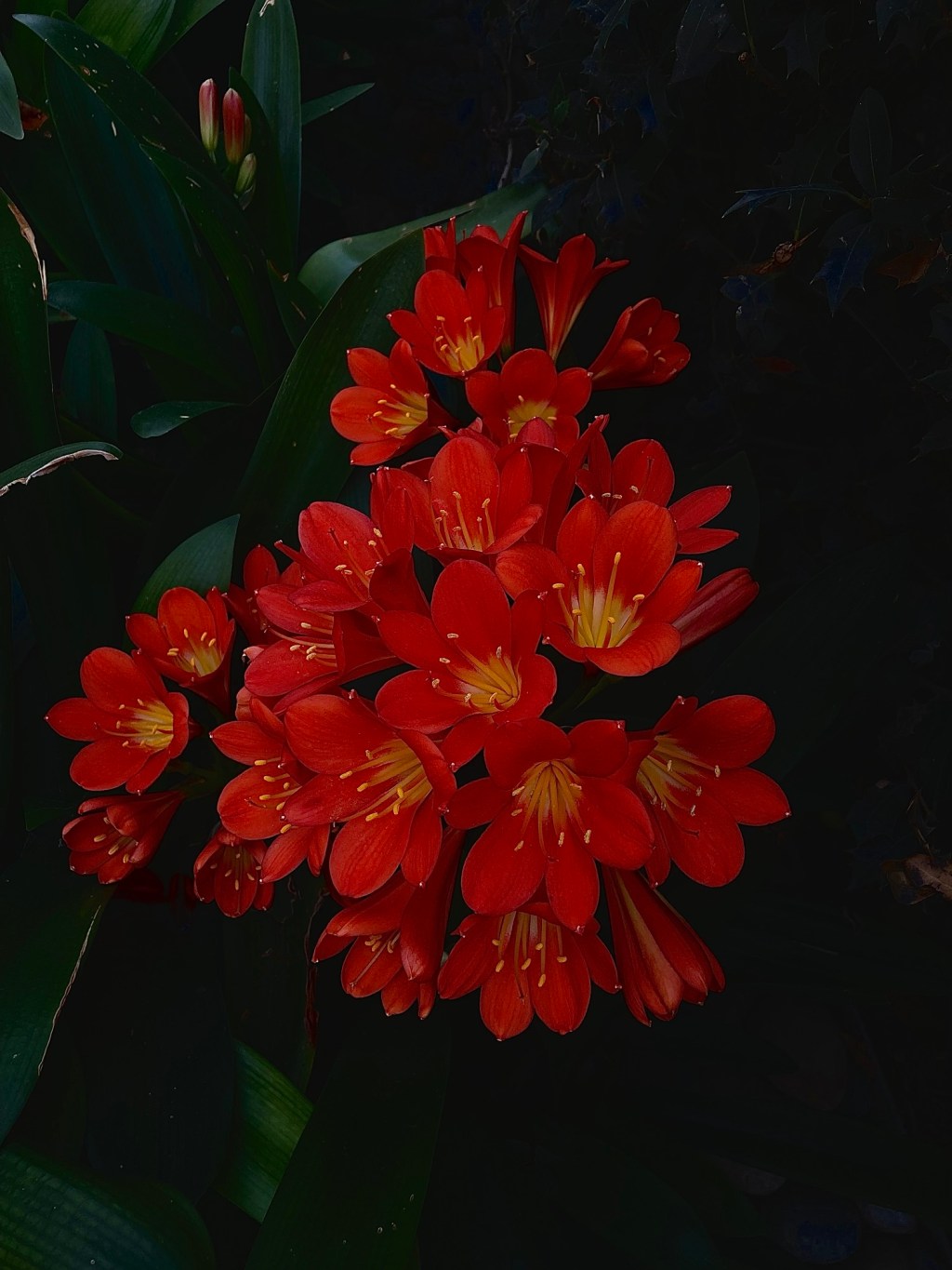 3/11/2025 These are the days&nbsp;of…