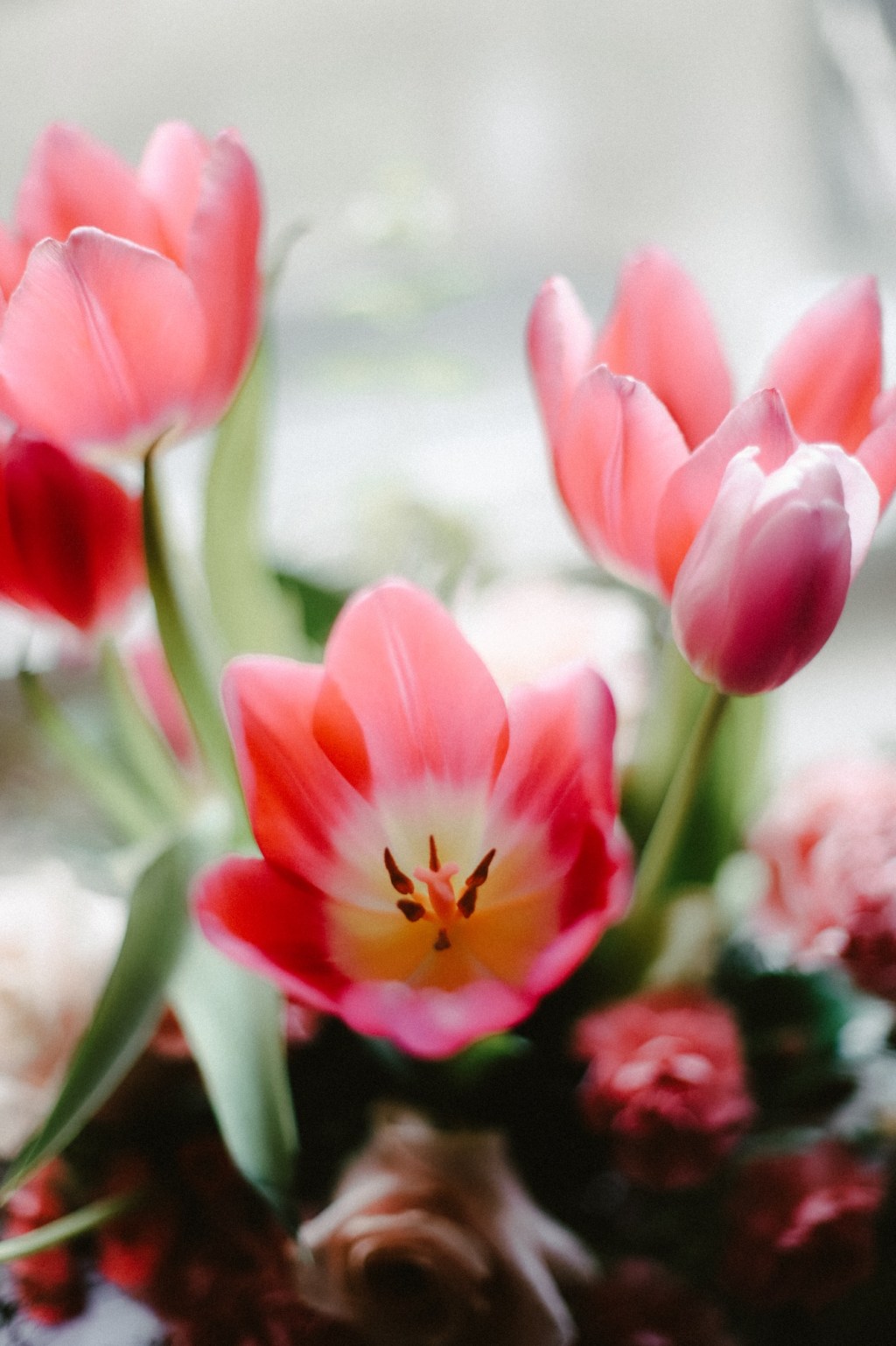 3/24/2025 These are the days&nbsp;of…