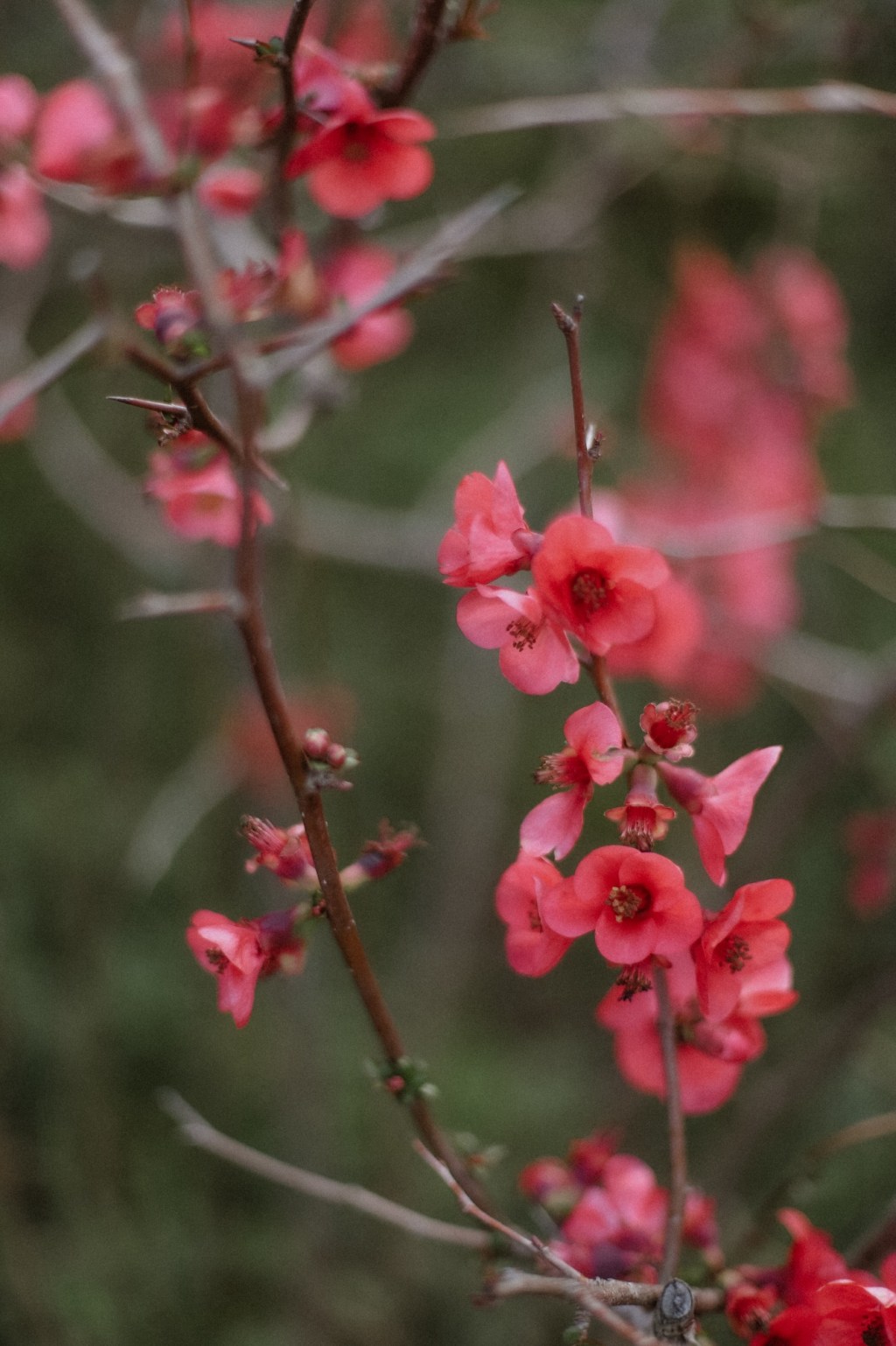 My faith story, as of March&nbsp;2025