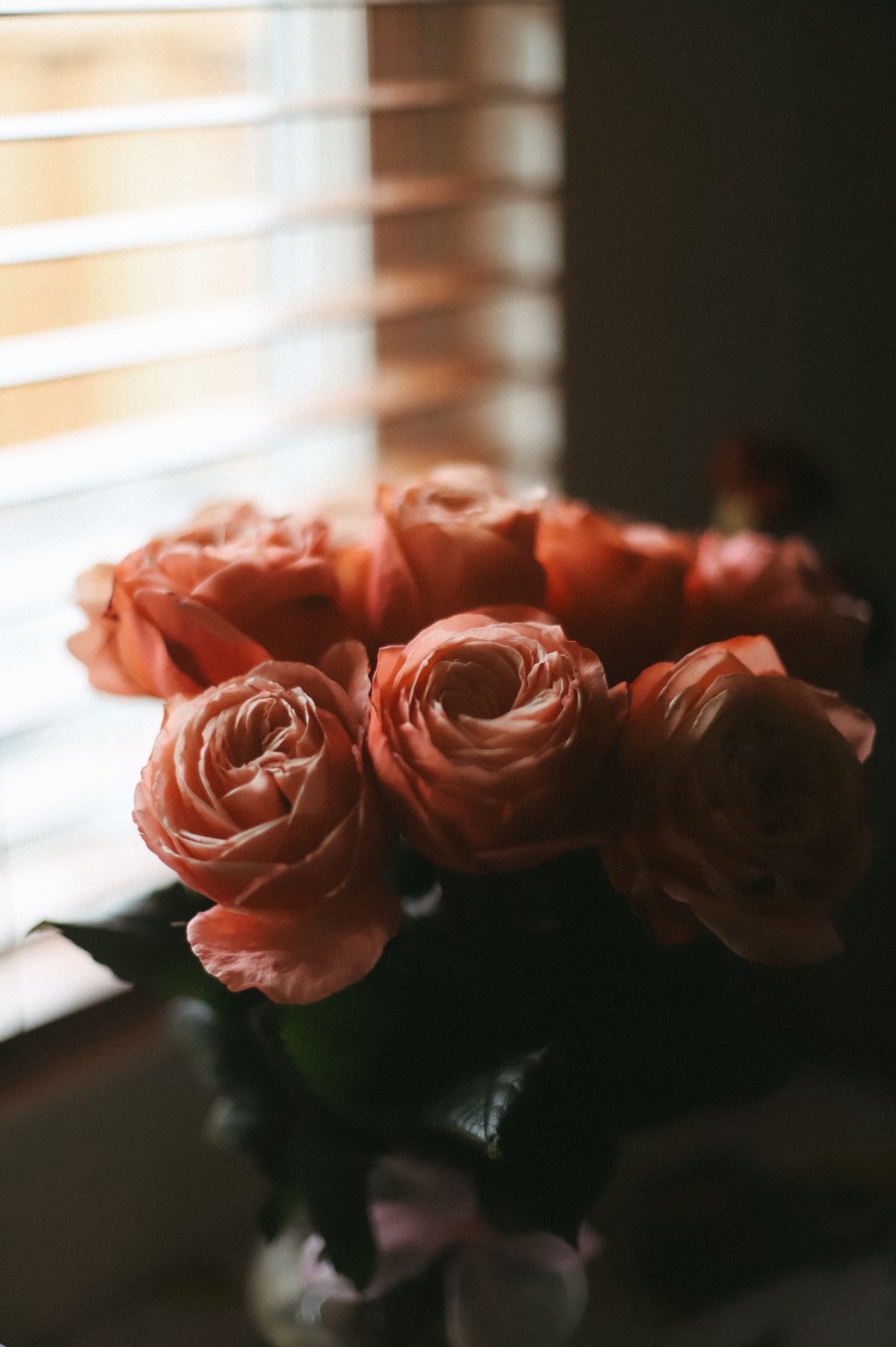 7/4/2025 These are the days&nbsp;of…