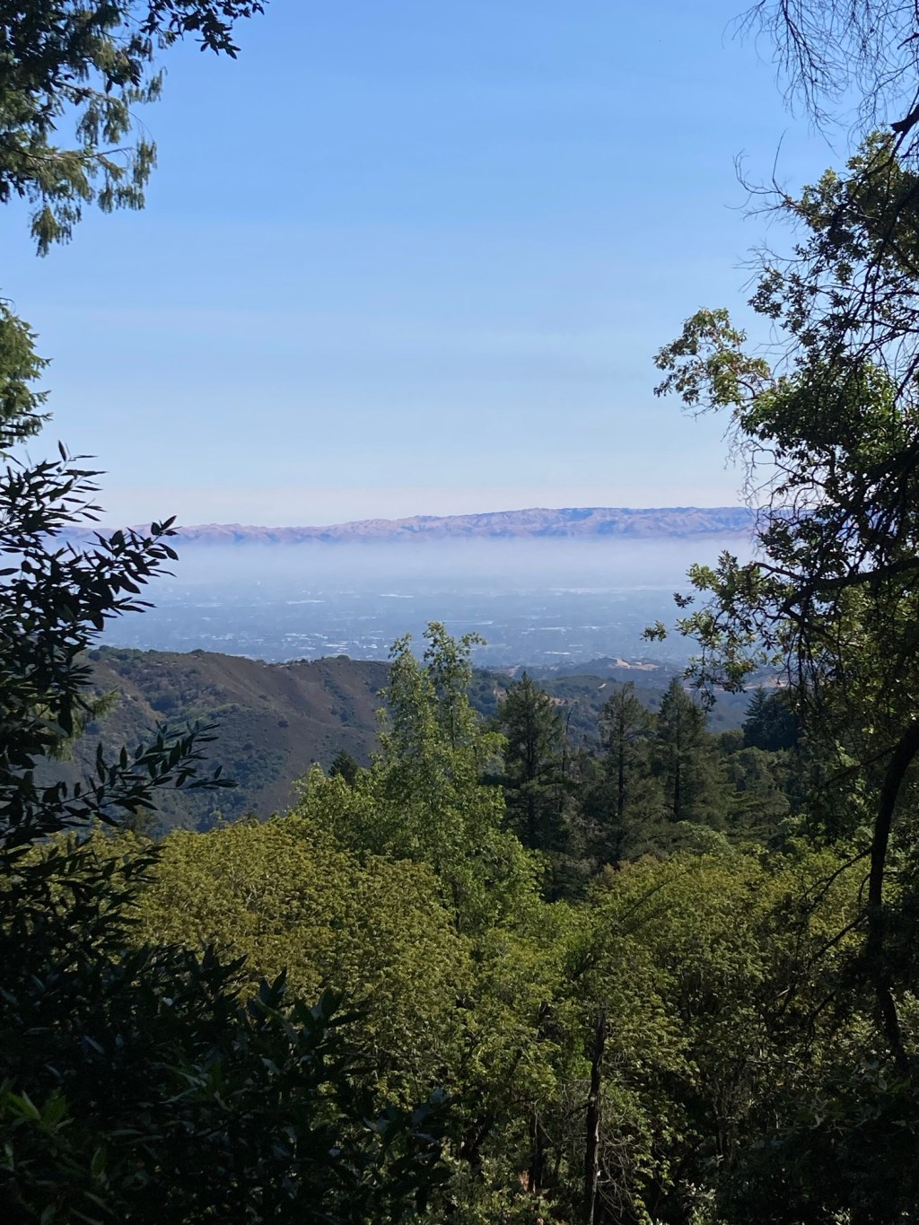 8/20/2025 These are the days&nbsp;of…