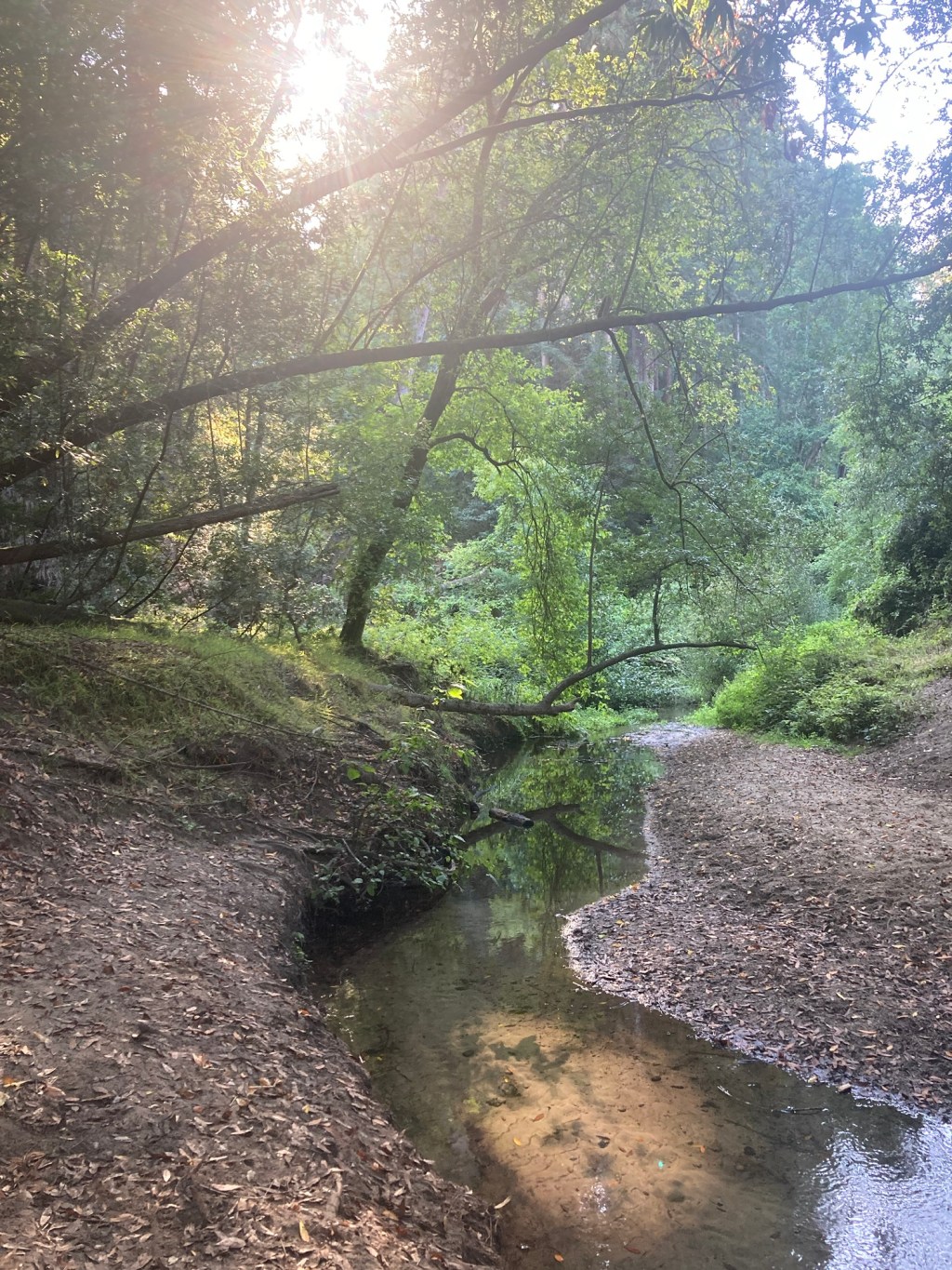 Oct 25, 2025&nbsp;Reflections