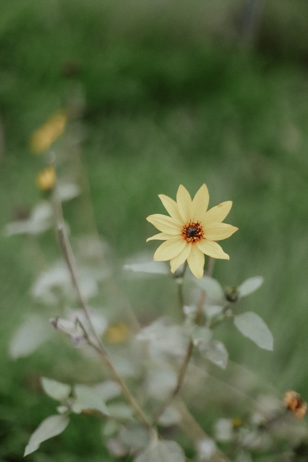 February 4, 2026&nbsp;Reflections