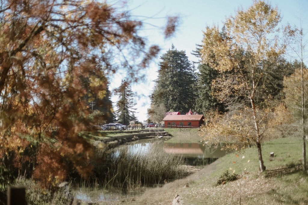 Retreat with Cory&nbsp;Muscara