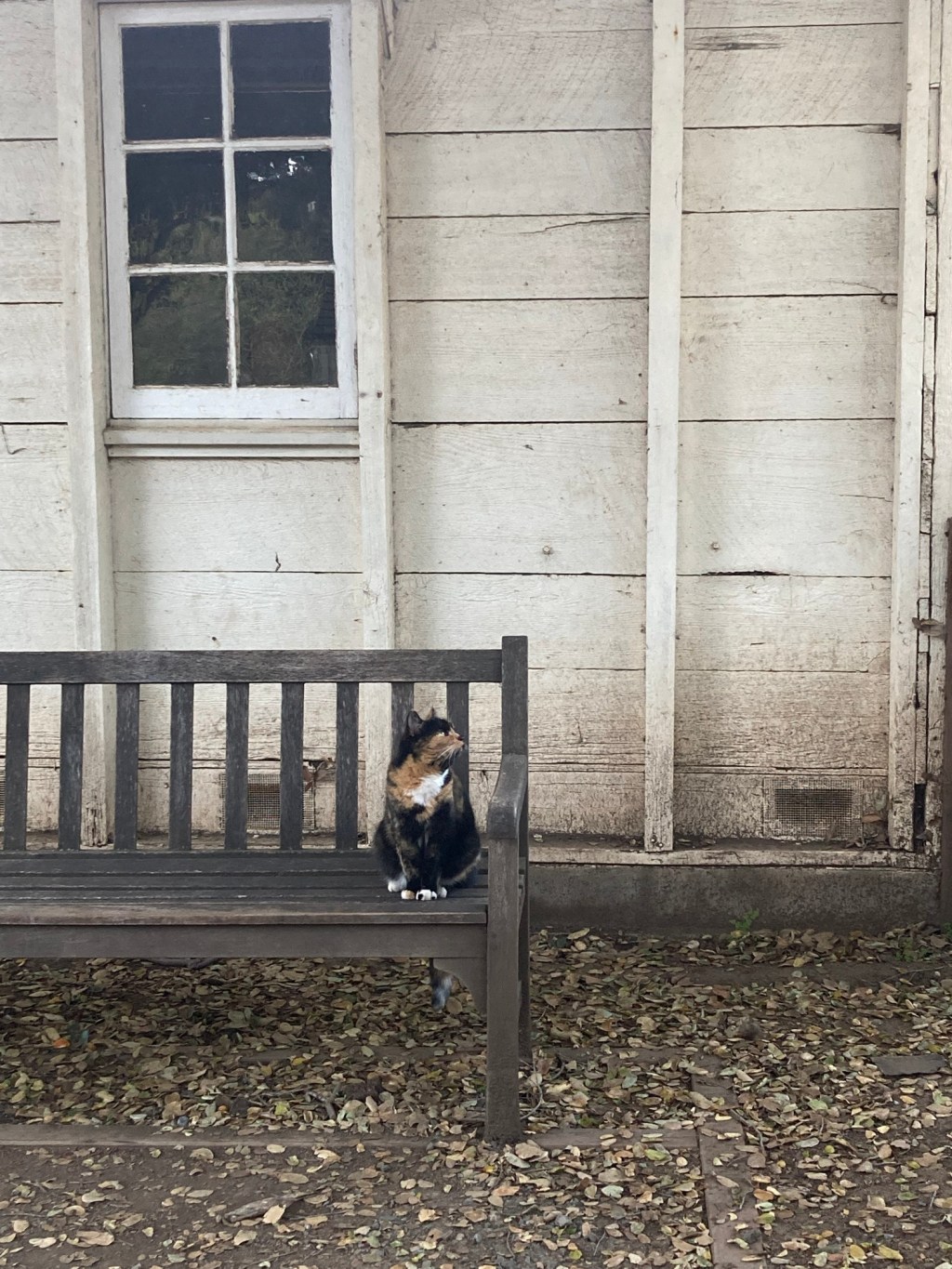 3/31/2026 These are the days&nbsp;of…